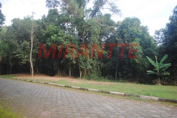 land_lot em Rua Marechal Barbacena, Vila Regente Feijó - São Paulo - SP