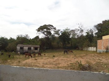 land_lot em Margem Frei Sabino, Nova Holanda - Divinópolis - MG