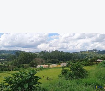 land_lot em Estrada do Vinho, Centro (Canguera) - São Roque - SP