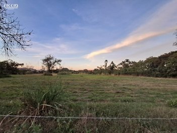 land_lot em Avenida Malek Assad, Jardim Santa Maria - Jacareí - SP
