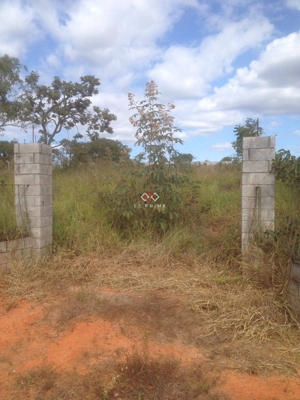 WhatsApp Image 2025-09-18 at 15.48