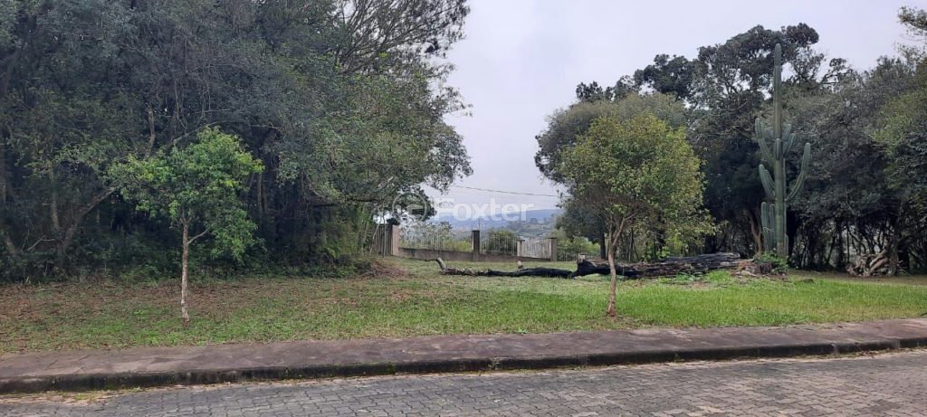 Foto Terreno 18 Alsino 001.jpeg