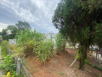 land_lot em Rua Coronel Caetano Costa, Jardim Atlântico - Florianópolis - SC