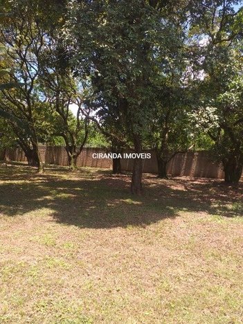 land_lot em Rodovia Castelo Branco, Dona Catarina - São Roque - SP