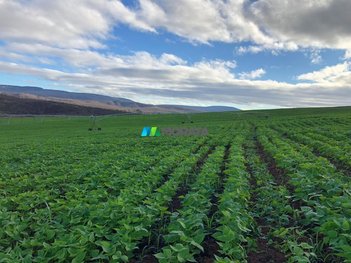 agricultural em Área Rural, Área Rural de Araçuaí - Araçuaí - MG