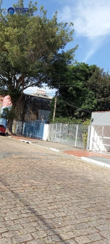 land_lot em Rua Magarinos Torres, Vila Maria Alta - São Paulo - SP