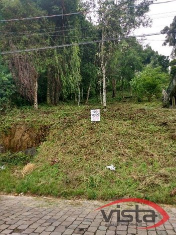 land_lot em ZORAIDE BORTOLINI RIZZOTTO, Tijuca - Caxias do Sul - RS