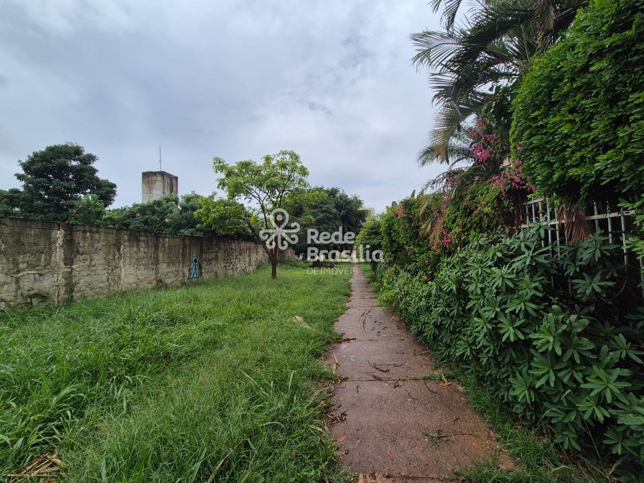 WhatsApp Image 2025-12-02 at 14.53