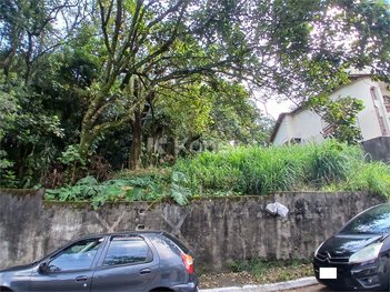 land_lot em Rua Tomé Afonso de Moura, Vila Amélia - São Paulo - SP