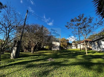 commercial_land_lot em Rua Miguel Daraio, Colônia - Ribeirão Pires - SP