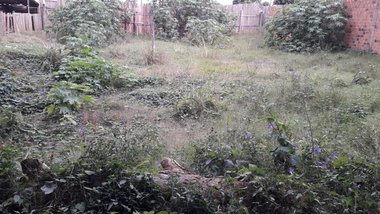 land_lot em Cristovao Pereira, Vila São Miguel - Rio Grande - RS