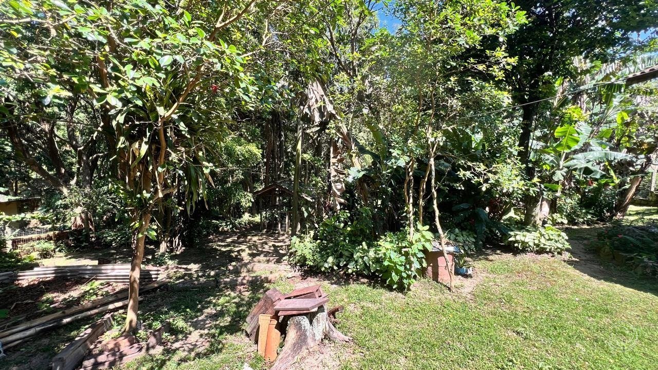 Foto do sitio 1