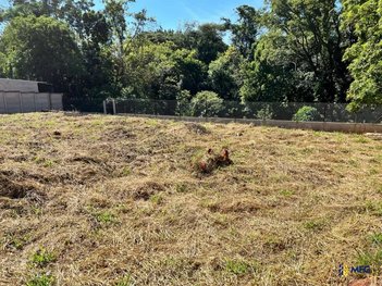 land_lot em Alameda das Amoreiras, Colinas I - Araçoiaba da Serra - SP