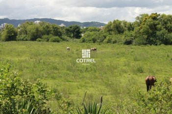 land_lot em BR-287, Urlândia - Santa Maria - RS