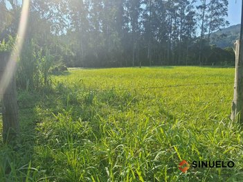 land_lot em Avenida Aguedina Dapper, Rolantinho - Rolante - RS