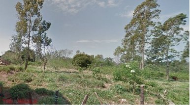 land_lot em Rua Mogno, Jardim Paineiras - Umuarama - PR
