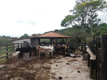 agricultural em Rua Izaltino de Aguiar, Santos Dumont - Pará de Minas - MG