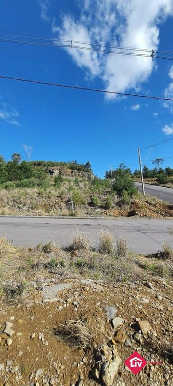 land_lot em Rua Alcides José Piardi, De Zorzi - Caxias do Sul - RS