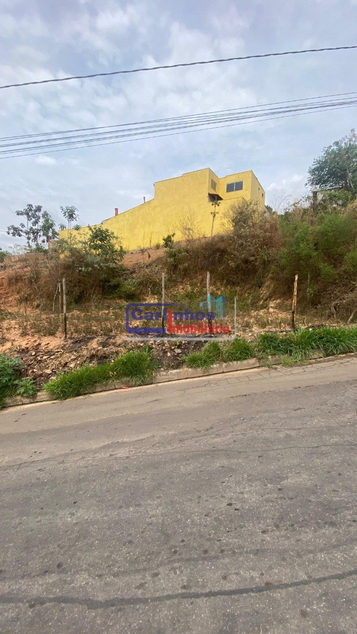 WhatsApp Image 2025-10-14 at 11.55