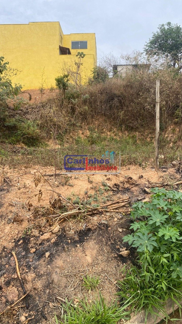 WhatsApp Image 2025-10-14 at 11.55