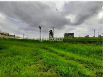 land_lot em Avenida Ary Barnabé, Jardim Bela Vista - Indaiatuba - SP