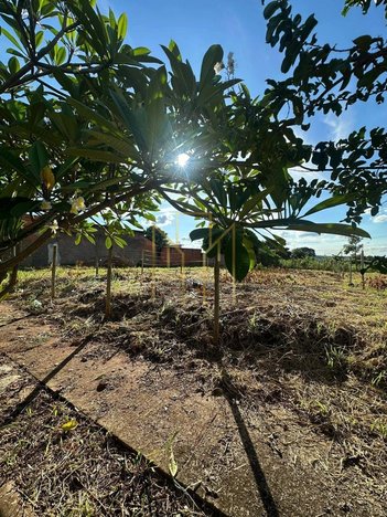 land_lot em Rua Sílvia Alves Neves, Shopping Park - Uberlândia - MG