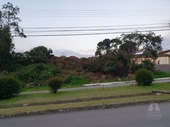 land_lot em Avenida Júlio de Castilhos, São Pelegrino - Caxias do Sul - RS