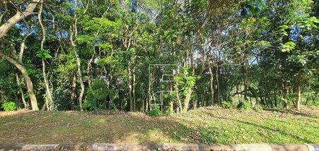 land_lot em Rua Lorena, Parque Dom Henrique - Cotia - SP