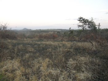 land_lot em Avenida Gentil Silva, Grajaú - Divinópolis - MG