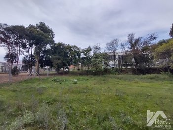 land_lot em Rua José Bertelli, Salgado Filho - Caxias do Sul - RS