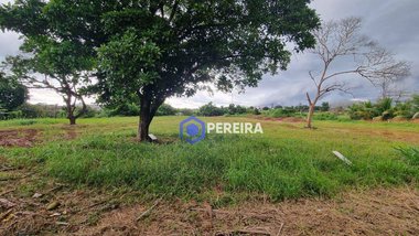 land_lot em Rua dos Eucalíptos, Chácara das Paineiras - Votuporanga - SP