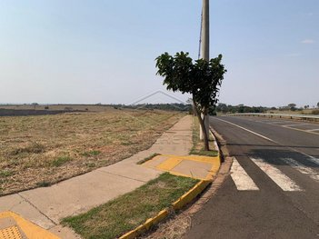 land_lot em Rodovia Cezário José de Castilho, Rio Verde - Bauru - SP
