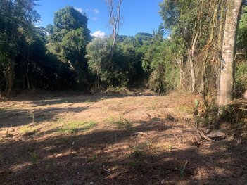 land_lot em Avenida Vereador Domingos Benvenuto Moletta, Colonia Marcelino - São José dos Pinhais - PR