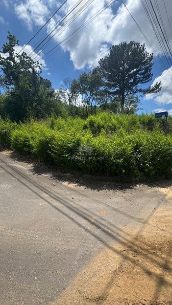 land_lot em Rua José César Mantovani, América - Farroupilha - RS