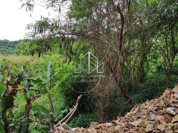 land_lot em Estrada dos Alvarengas, Assunção - São Bernardo do Campo - SP