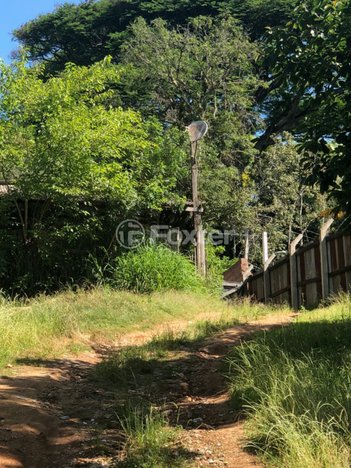 land_lot em Avenida Belém Velho, Vila Nova - Porto Alegre - RS
