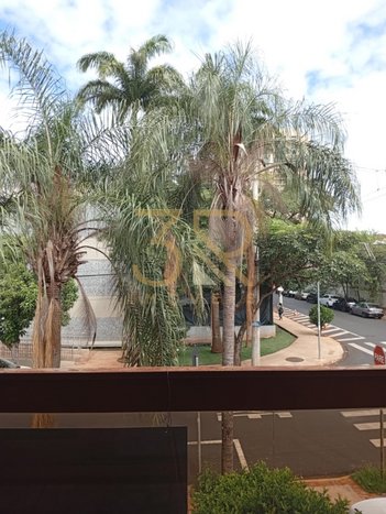 business em Rua Afonso Taranto, Nova Ribeirânia - Ribeirão Preto - SP