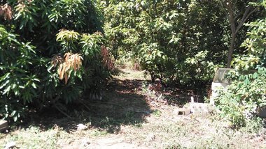 land_lot em Avenida Armando de Salles Oliveira, Centro - Piracicaba - SP