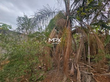 land_lot em Rua Mário Bortolazzo, Vila Nossa Senhora Aparecida - Piracicaba - SP