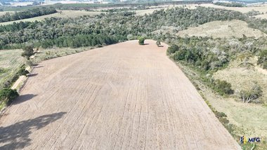 agricultural em Área Rural, Área Rural de São Miguel Arcanjo - São Miguel Arcanjo - SP