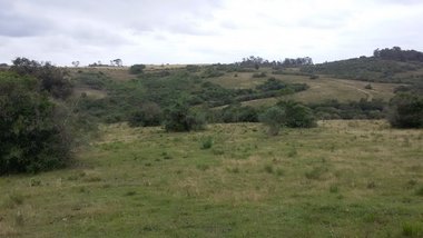 land_lot em Rua Júlio de Castilho, Centro - Arroio Grande - RS