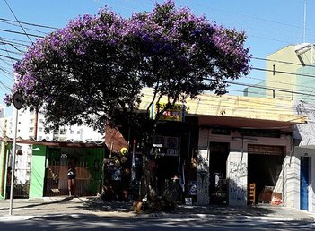 house em Coronel Evaristo De Campos, Santa Teresinha - São Paulo - SP