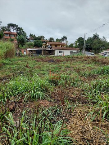 land_lot em Benedito Silvino Camargo, Centro (Canguera) - São Roque - SP