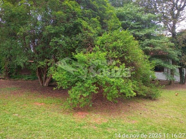 WhatsApp Image 2025-11-25 at 16.03