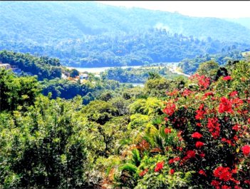 commercial_land_lot em Estrada Delegado Arcy de Castro Oliveira Vicente, Rio Abaixo - Mairiporã - SP