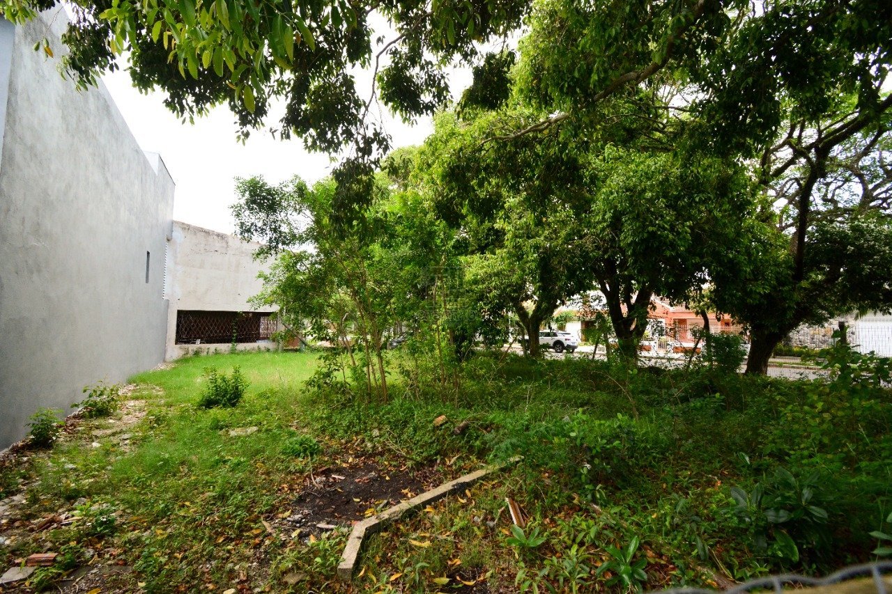 terreno