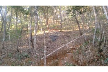 land_lot em Rua dos Jacarandás, Jardins de Petrópolis - Nova Lima - MG