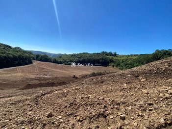 commercial_land_lot em Rodovia RS-453, Nova Sardenha - Farroupilha - RS