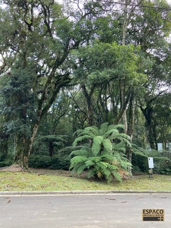 land_lot em Rua Prefeito Waldemar Frederico Weber, Mato Queimado - Gramado - RS