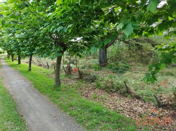 land_lot em Passeio Caetês, São Francisco de Paula - São Francisco de Paula - RS